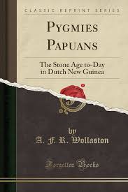 Pygmies and Papuans The Stone Age To-day in Dutch New Guinea